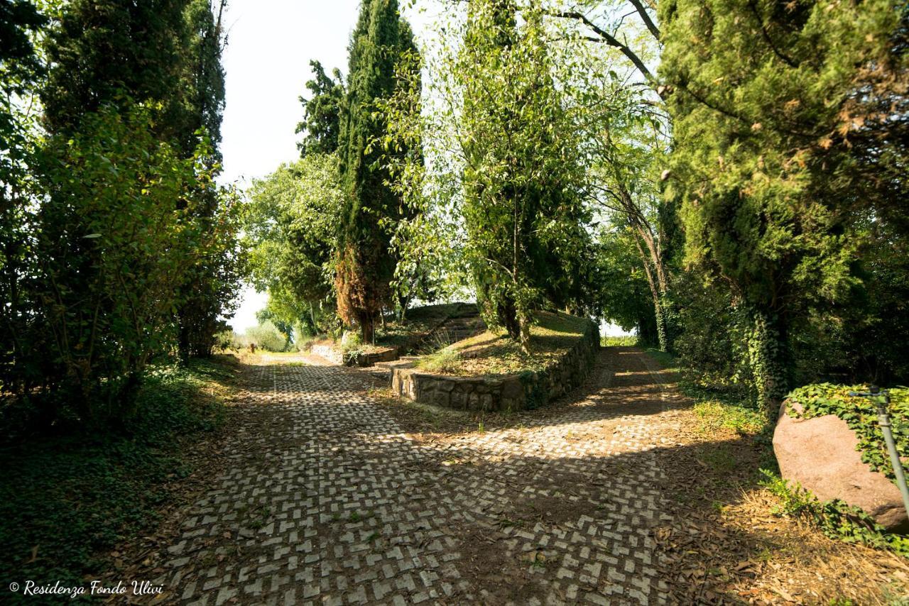 Residenza Fondo Ulivi Villa Ponti sul Mincio Bagian luar foto