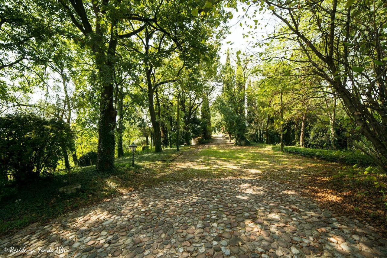 Residenza Fondo Ulivi Villa Ponti sul Mincio Bagian luar foto